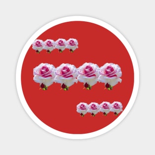 roses flower beautyful art Design Magnet